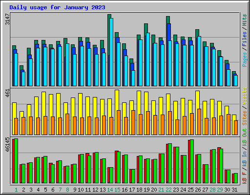 Daily usage for January 2023