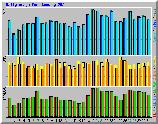 Daily usage for January 2024