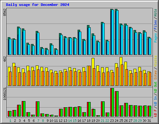 Daily usage for December 2024