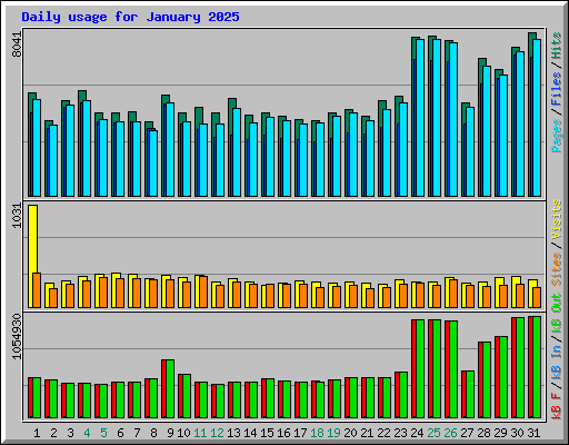 Daily usage for January 2025