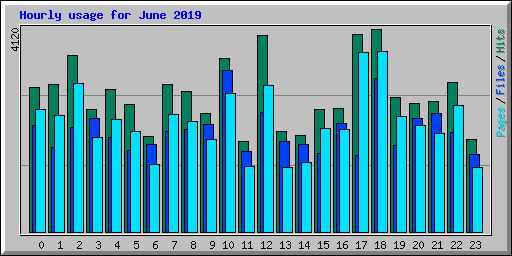 Hourly usage for June 2019