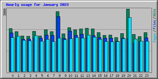 Hourly usage for January 2023
