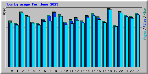 Hourly usage for June 2023