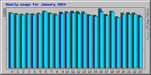 Hourly usage for January 2024