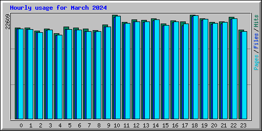 Hourly usage for March 2024