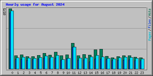 Hourly usage for August 2024
