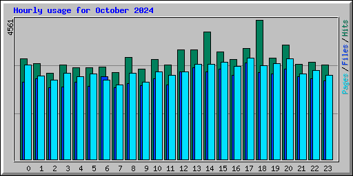 Hourly usage for October 2024