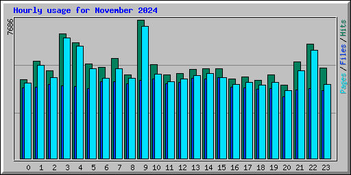 Hourly usage for November 2024