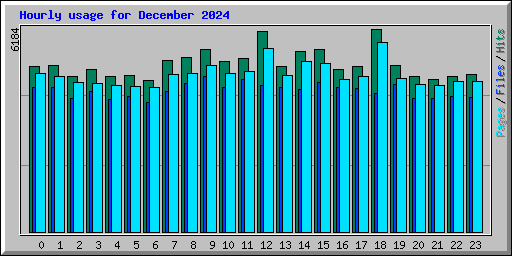 Hourly usage for December 2024