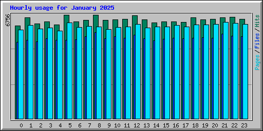 Hourly usage for January 2025