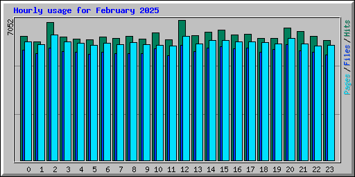 Hourly usage for February 2025