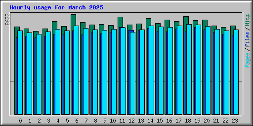 Hourly usage for March 2025