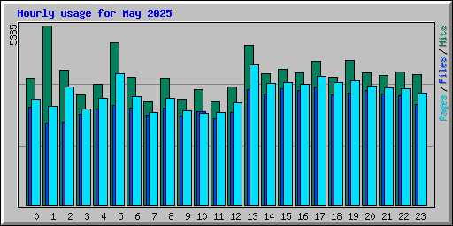 Hourly usage for May 2025